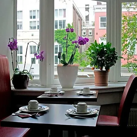 Otel Allure 3*