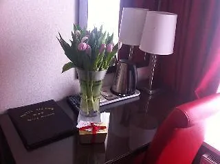 Allure Amsterdam