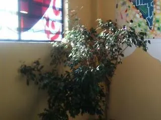 アリュール ホテル 3*