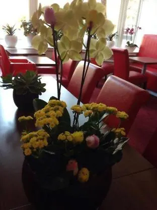 Allure 3* Amsterdam