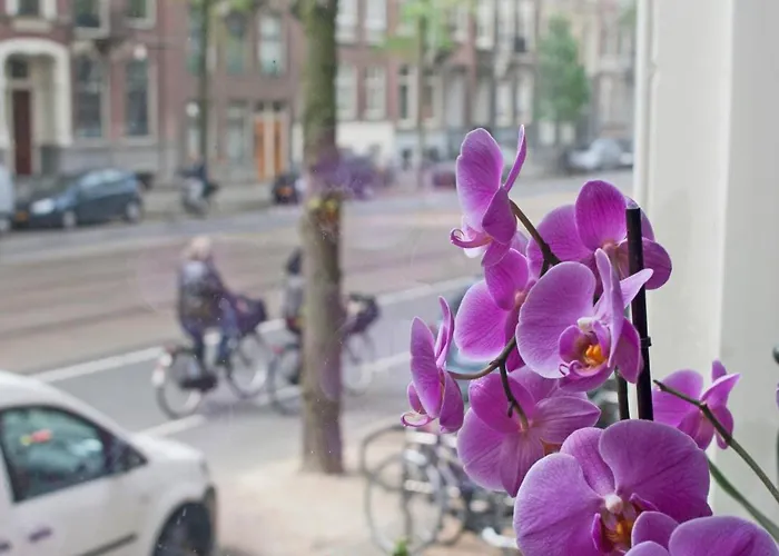 Hotel Allure Amsterdam